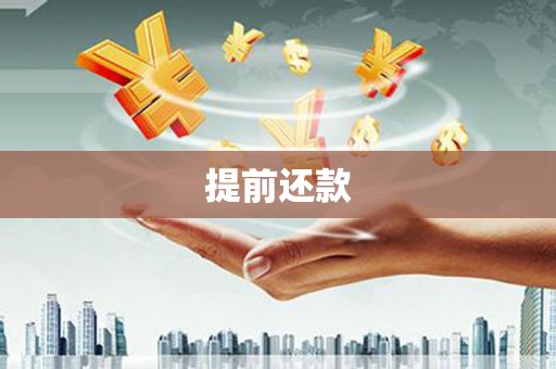 镇雄提前还款