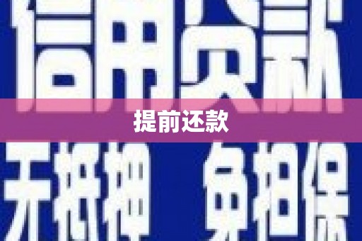 镇雄提前还款