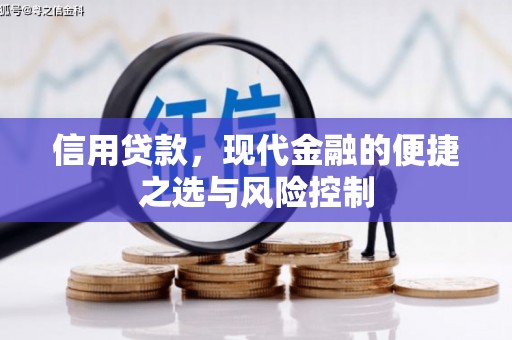 镇雄信用贷款，现代金融的便捷之选与风险控制