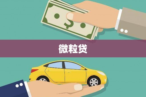 镇雄微粒贷