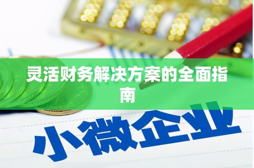 镇雄灵活财务解决方案的全面指南