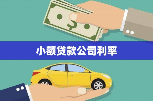镇雄小额贷款公司利率