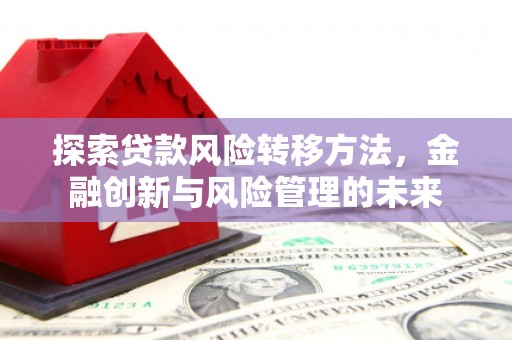 镇雄探索贷款风险转移方法，金融创新与风险管理的未来