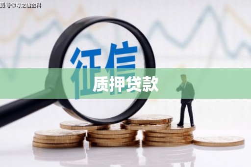 镇雄质押贷款