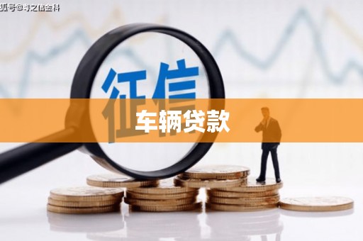 镇雄车辆贷款