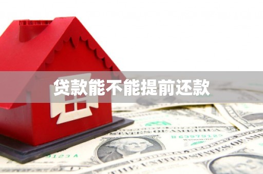 镇雄贷款能不能提前还款