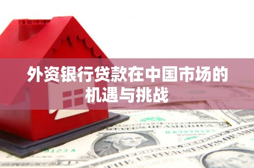 镇雄外资银行贷款在中国市场的机遇与挑战