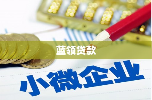镇雄蓝领贷款