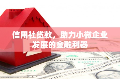 镇雄信用社贷款，助力小微企业发展的金融利器