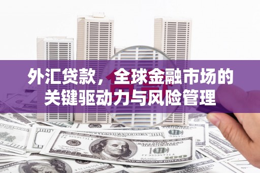 镇雄外汇贷款，全球金融市场的关键驱动力与风险管理