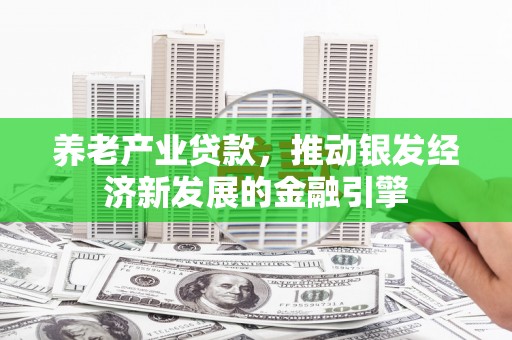 镇雄养老产业贷款，推动银发经济新发展的金融引擎