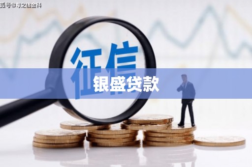 镇雄银盛贷款