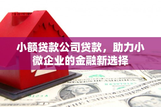 镇雄小额贷款公司贷款，助力小微企业的金融新选择