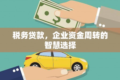 镇雄税务贷款，企业资金周转的智慧选择