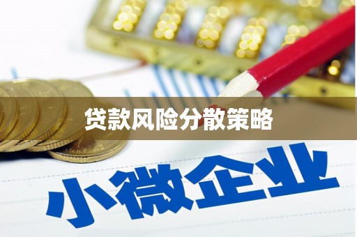 镇雄贷款风险分散策略