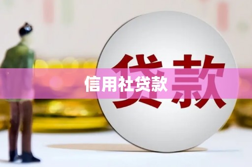 镇雄信用社贷款