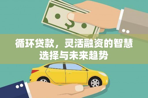 镇雄循环贷款，灵活融资的智慧选择与未来趋势