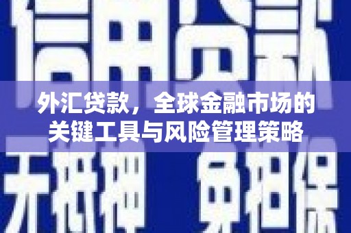镇雄外汇贷款，全球金融市场的关键工具与风险管理策略