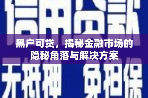 镇雄黑户可贷，揭秘金融市场的隐秘角落与解决方案
