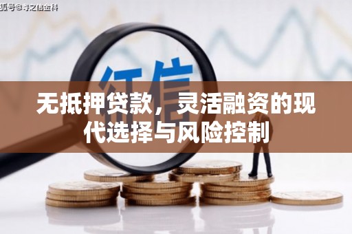 镇雄无抵押贷款，灵活融资的现代选择与风险控制