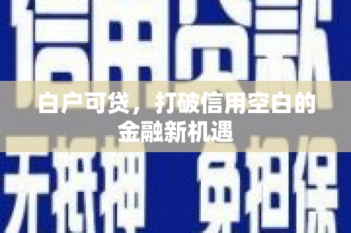 镇雄白户可贷，打破信用空白的金融新机遇