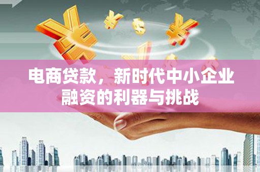 镇雄电商贷款，新时代中小企业融资的利器与挑战
