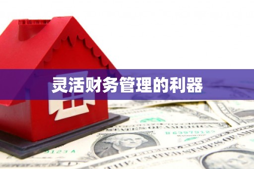 镇雄灵活财务管理的利器