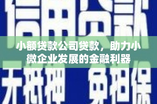镇雄小额贷款公司贷款，助力小微企业发展的金融利器