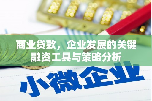 镇雄商业贷款，企业发展的关键融资工具与策略分析