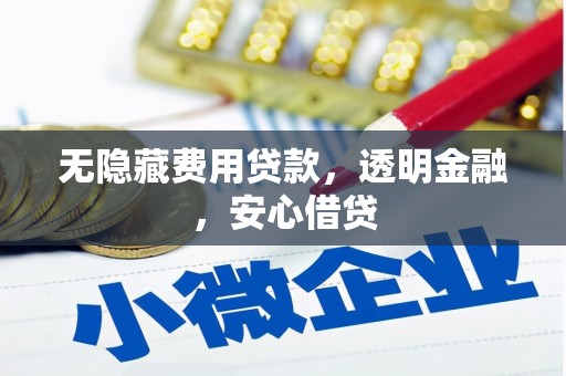 镇雄无隐藏费用贷款，透明金融，安心借贷