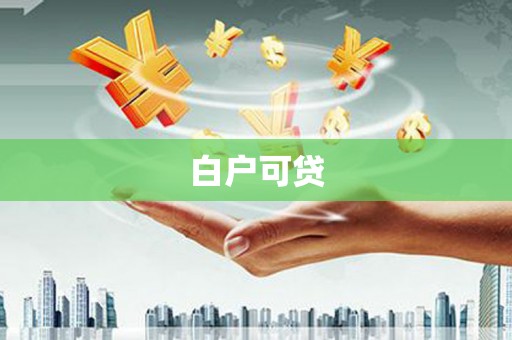 镇雄白户可贷