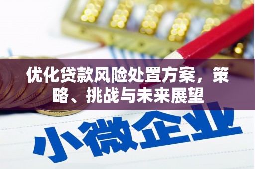 镇雄优化贷款风险处置方案，策略、挑战与未来展望