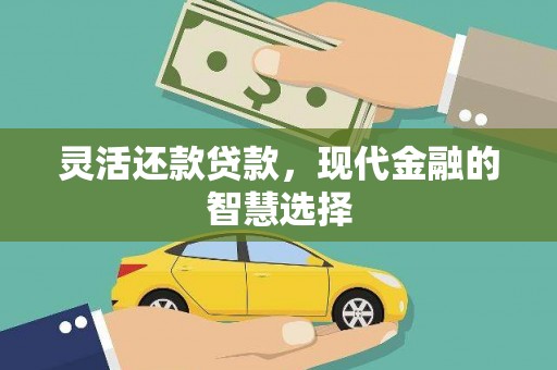 镇雄灵活还款贷款，现代金融的智慧选择