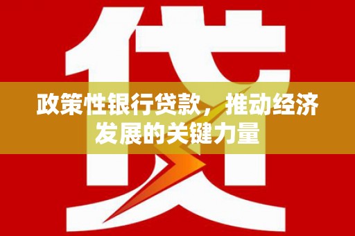 镇雄政策性银行贷款，推动经济发展的关键力量