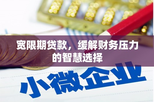 镇雄宽限期贷款，缓解财务压力的智慧选择