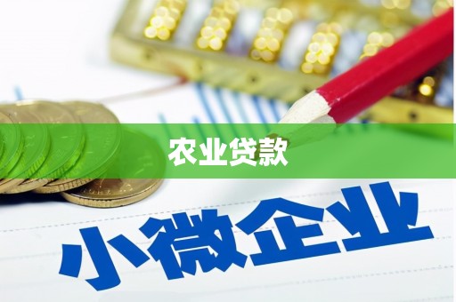 镇雄农业贷款