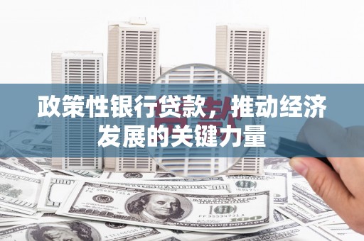 镇雄政策性银行贷款，推动经济发展的关键力量