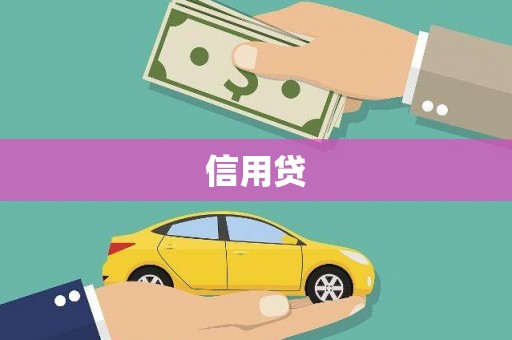 镇雄信用贷