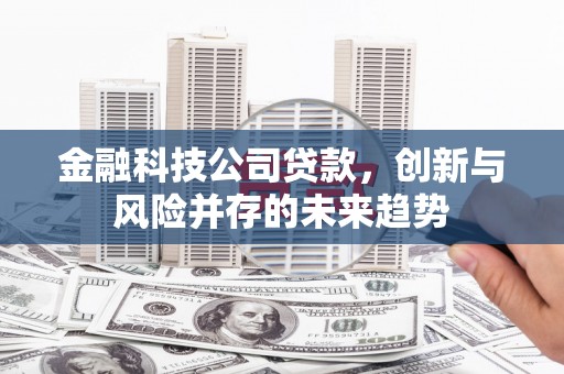 镇雄金融科技公司贷款，创新与风险并存的未来趋势