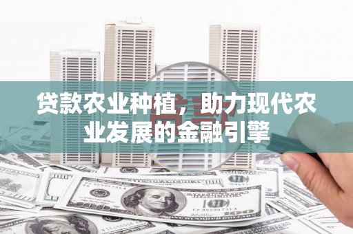 镇雄贷款农业种植，助力现代农业发展的金融引擎