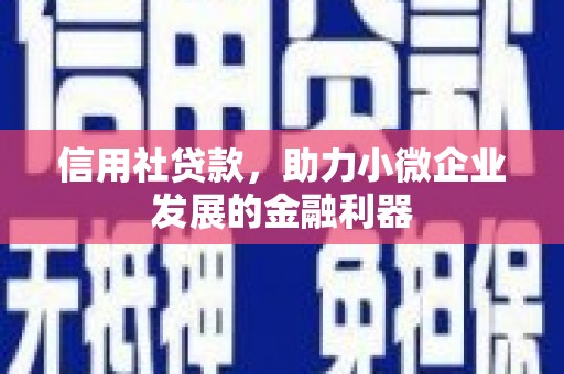 镇雄信用社贷款，助力小微企业发展的金融利器