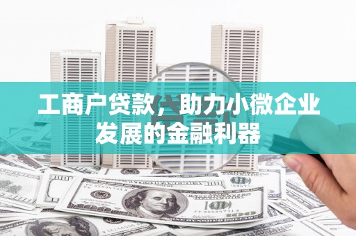 镇雄工商户贷款，助力小微企业发展的金融利器
