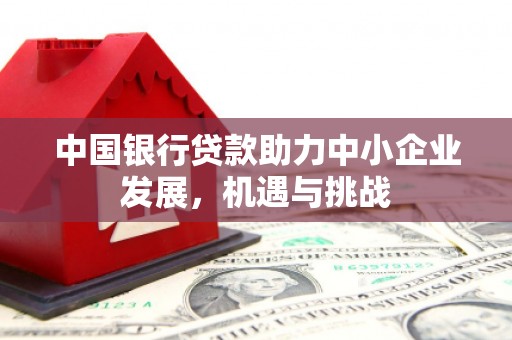 镇雄中国银行贷款助力中小企业发展，机遇与挑战