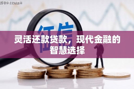 镇雄灵活还款贷款，现代金融的智慧选择