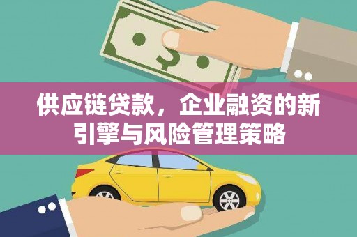 镇雄供应链贷款，企业融资的新引擎与风险管理策略
