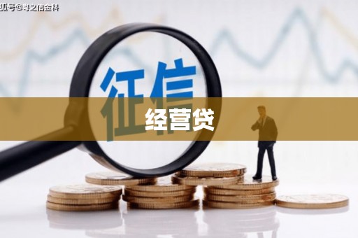 镇雄经营贷