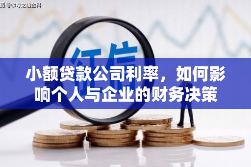 镇雄小额贷款公司利率，如何影响个人与企业的财务决策
