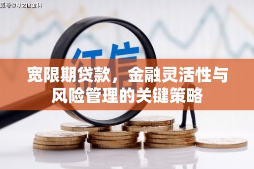 镇雄宽限期贷款，金融灵活性与风险管理的关键策略