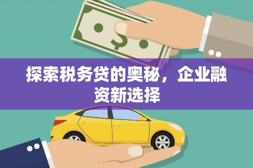 镇雄探索税务贷的奥秘，企业融资新选择