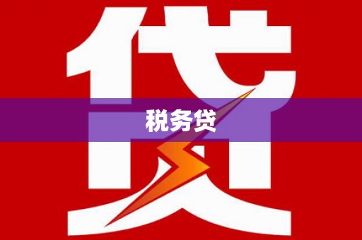 镇雄税务贷